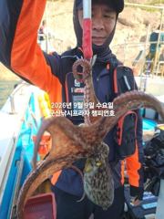 9일, 주간문어 오늘도 나와요~~부쩍 커진 문어 굿~내일도 출조합니다~군산 챔피언호 사진