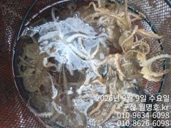 9/89. 오전 사진