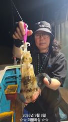(南)남해조황 - 진해더블피싱 08화욜 무늬팁런 세자리수 철수조황 사진