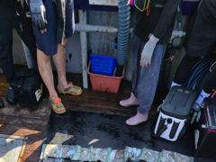 출조안내 - 9월9일 마검포 플라이호 쭈꾸미 조황 사진