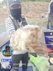 [사천] 9/9일 바람이 불어도 돌문어는 올라옵니다^^ 사진