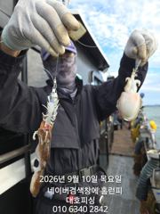 대호피싱호 사리물때도 쭈꾸미는 잘 나와요 사진