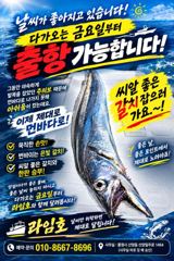 출조안내 - 15일(화)/18일(금)/20일(일)/23일(수)/26일(토) 오전9시 여수-백도/간여 왕칼치 출조 예약중,,16석/자동봉돌투척기완비 사진