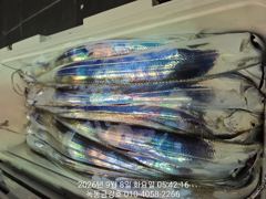 [고흥,녹동] 녹동금강호16석갈치14일15일쭉예약중.예약순자리지정예약제 010… 사진
