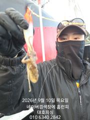 (西)서해조황 - 군산 대호피싱 쭈꾸미 대박 11분 모시고 사리 물때에도 잘 나오네요 사진