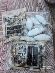 오늘의조황 - 9월9일 쭈꾸미~ 출조 조황입니다 - 영흥도 선상 루어낚시 전문 - 영진호 사진