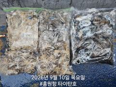 쭈.갑 먹물조황+ - 9/10 홍원항 타이탄호 쭈꾸미 조황 사진