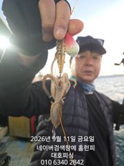 대호피싱호 5분 모시고 쭈꾸미 시작합니다 사리물때 걱정하지 마세요 잘 나와요 사진