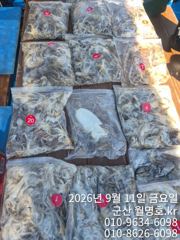 11일 오전반 사진