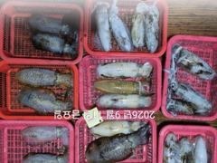 [진해] 팁런무늬!!쭉 세자리!!일용부터 예약가능 사진