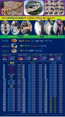 출조안내 - ♥ 붉바리들..이정도는 잡아봐야지요 초초대박 붉바리조황입니다[2026년09월11일] ◎ 해마루호가 뜨는이유? 조황때문이죠 ◎ 핵심포인트: 바로진입.. 바로히트.. ◎ 차원이 다른 조황으로 모십니다 ▣ 요즘 붉바리낚시가 대세입니다 사진