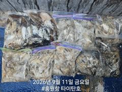 오늘의조황 - [홍원항타이탄호] 9월10일(목) 사릿물? 그게 뭐예요.깝쭈 다녀왔습니다. - 홍원항 타이탄호 사진