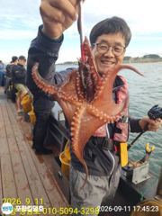 (東)동해조황 - 미터 오버 대삼치 47마리 랜딩 입항 조황.. 사진