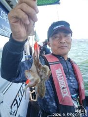 (南)남해조황 - 쭈꾸미조항 입니다 ~13일 일욜(출항확정) 예약가능 합니다 사진