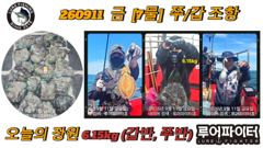쭈.갑 먹물조황+ - 루어파이터호-9/11 금 [7물] 쭈/갑 조항 입니다. 사진