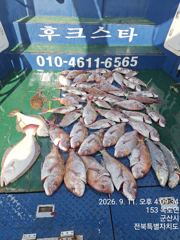 야미도후크스타호 9/11(금) 참돔 조황 사진
