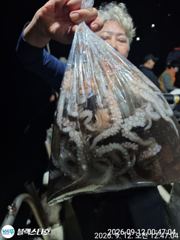 [사천] 금요일 야문 ~대박조황~ 사진