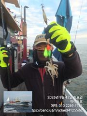 12일, 군산쭈꾸미~오늘도 스타트~실시간~점점 좋아지는 쭈구미~내일도 갑니다~군산낚시프라자 하이원호 사진