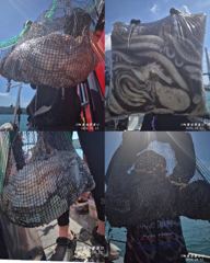 (南)남해조황 - <고흥녹동>청룡호. 12일 돌문어 대사리물때 조황소식! 사진