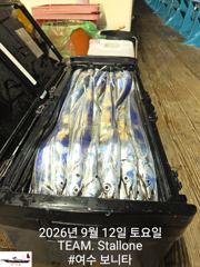 12일(토요일)여수먼바다 씨알좋은 왕~갈치 쿨러 대박조황입니다 사진