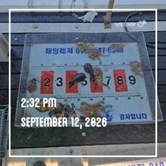 (南)남해조황 - 해양레저 무늬오징어 돌문어 조황 사진