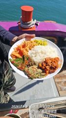 가을시즌 돌문어 마리수가 보이고 있어요 사진