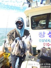 12일, 군산쭈꾸미~물때 상관없는 굿조황~점점 좋아지는 쭈구미~내일도 갑니다~군산낚시프라자 창성호 사진