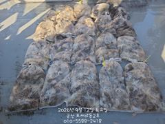 12일, 군산쭈꾸미~날씨 좋으니가 물때가 무색, 호조황 국면~점점 좋아지는 쭈구미~내일도 갑니다~군산낚시프라자 포세이돈 2호 사진