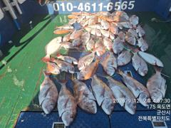 ★★후크스타호★9/12(토) 씨알 좋은 참돔 조황★ 사진