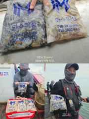 9월 12일 쭈꾸미 조황 사진