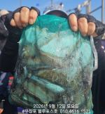 먹물조황 글만 보기 사진