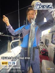 갈치한치조황++ - (여수왕갈치출조점) 갈치조황 ^^ ..먼일이여 사진
