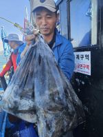 9월12일 씨헌터호 갑오징어 조황 입니다 사진