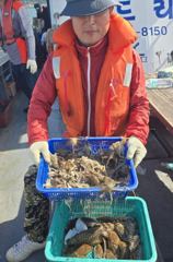 주꾸미 글만 보기 사진