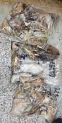 9월12일 뉴해성호 쭈꾸미 조황 사진