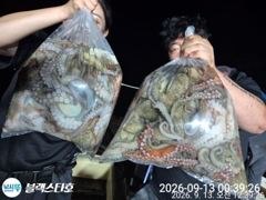 [사천] 토요일 야문 오늘도 장원30수ㅇ숸 사진
