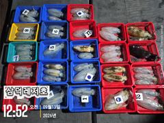 [통영] [팁런] 감자는,가라,오늘도 씨알로"굿.굿,굿""(일요일,소수인… 사진