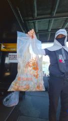 여수레드헌터피싱 9월12일(토) 갑오징어 대박조황입니다 사진