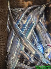 폭팔에 서막 사진