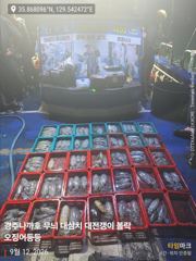 12일 야간 무늬팁런 선내 128수 오버 대삼치는 만쿨이요 ~~~ 사진