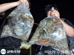[사천] 야간문어 조황 굿~오늘도 출동~ 사진