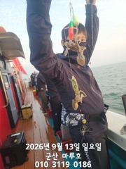 9월 13일 실시간 조항~ 사진