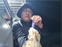 1   [통영] 무늬 마리수조황~ 오늘 17시 출항확정~ 1 사진