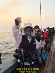 13일, 군산쭈꾸미~ 싸이즈도 점점~물때 상관없는 조황~오전반 굿조황~군산낚시프라자 월명호 사진