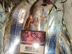 내만갈치씨알좋아진3지급까지쿨러만당오늘고~ 사진