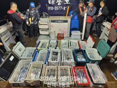 13일 입항, 내만갈치 꾸준하게 잡았습니다. 오늘 예약가능. 사진