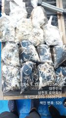 [사천] (주꾸미)100수오버~30여수까지 삼천포 대박소식~로마피싱(14… 사진