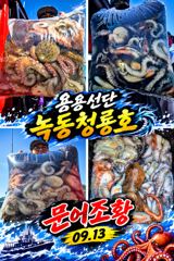 <고흥녹동> 청룡호 13일 우당탕 조황소식!! 사진