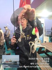 13일, 군산쭈꾸미~ 싸이즈도 점점~물때 상관없이 제대로 나오네요~굿 망탱이 조황~~군산낚시프라자 하이원호 사진