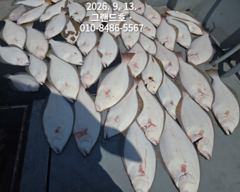 *군산그랜드호 쭈꾸미 출조 내일 여유자리 있습니다! 사진